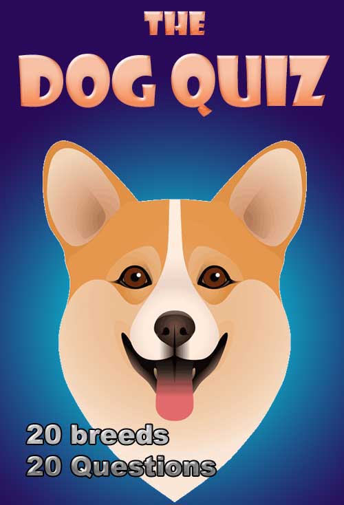 Dog breed quiz